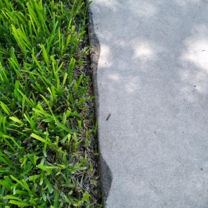 Photo of Skywaters Power Washing & Window Cleaning