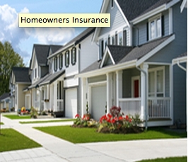 Photo of Kwan Insurance Services