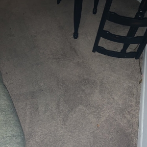 Photo of Clean Master Carpet