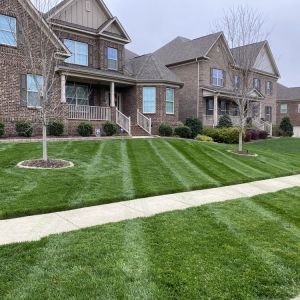 Photo of Carolina Cuts