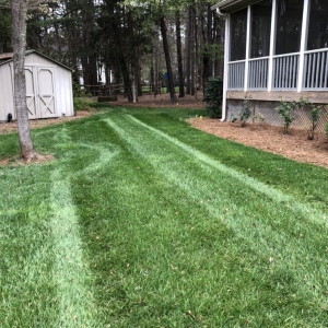 Photo of Carolina Cuts