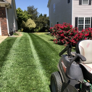 Photo of Carolina Cuts
