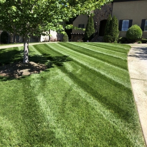 Photo of Carolina Cuts
