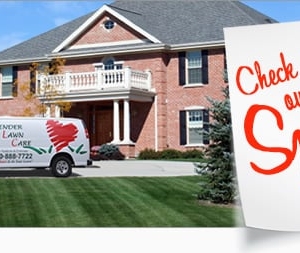 Photo of Tender Lawn Care