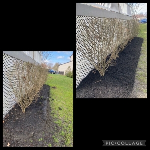 Photo of Lanzetta Landscaping, LLC