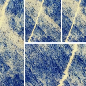 Photo of Brooklyn Carpet Cleaning