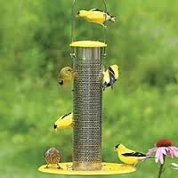 Photo of Home Improvements by Birds on Deck