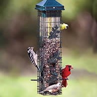 Photo of Home Improvements by Birds on Deck