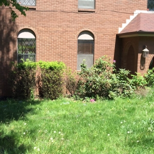 Photo of Dependable Lawn Services