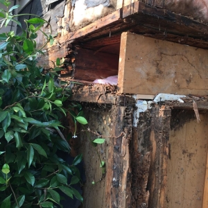 Photo of Sound Siding