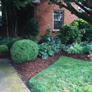 Photo of Nashville Landscaping