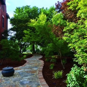 Photo of Nashville Landscaping