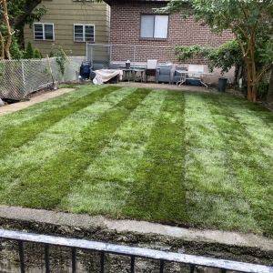 Photo of Garden Culture NYC