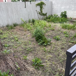 Photo of Garden Culture NYC