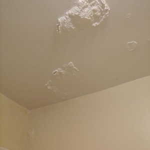 Photo of Gavin Plastering Services