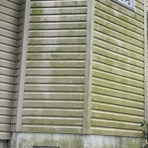Photo of Dirt Bully's Pressure Washing