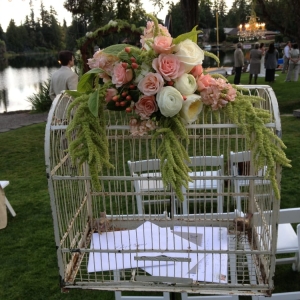 Photo of Diana Thornton Events