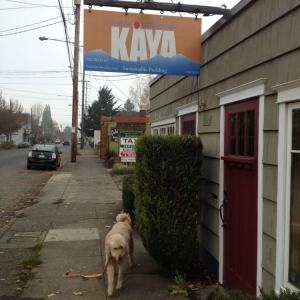 Portland Kaya General Contractors