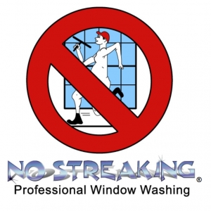 Photo of No Streaking Professional Window Washing