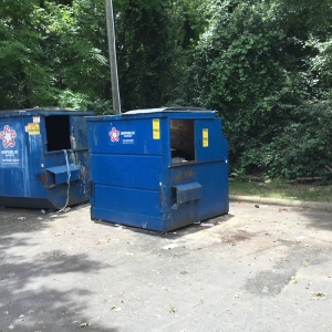 Photo of Dr Junk