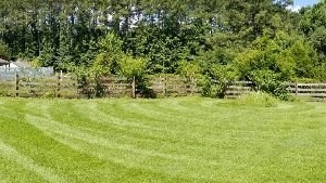 Photo of Meadow Lawn & Pest