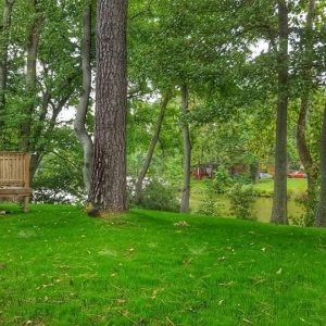 Photo of Meadow Lawn & Pest
