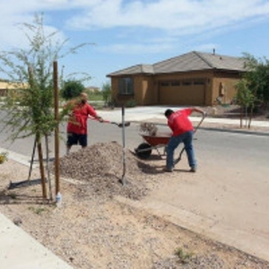 Photo of Skyler Moving & Labor