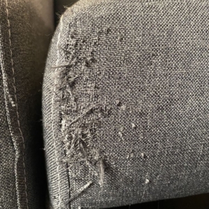Photo of Gazelle Custom Sewing