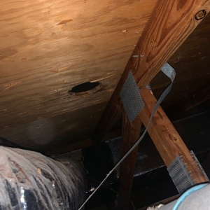 Photo of Pro-Form Roofing