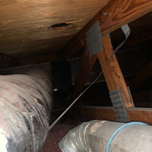 Photo of Pro-Form Roofing