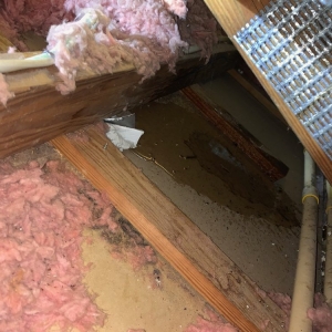 Photo of Pro-Form Roofing