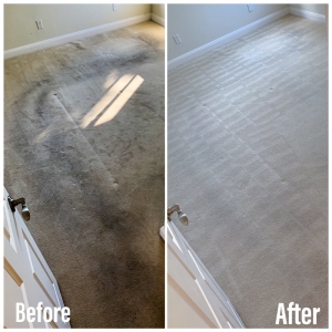 Photo of Shine Cleaning Services
