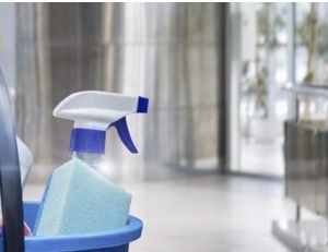 Vallejo The Cleaning Lady