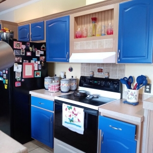 Lago Vista Lakeside Painting & More