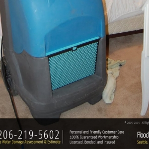 Photo of Flood Damage Pro