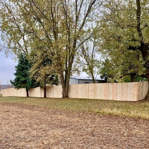 Photo of Great Barrier Fence
