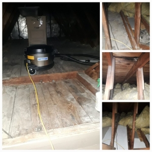Photo of AVERA Environmental, LLC.