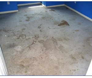 Photo of EcoClean
