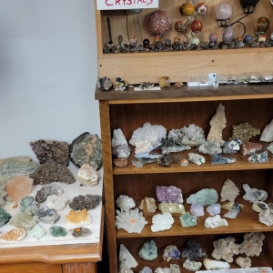 Photo of Zoomies Buy Sell Trade