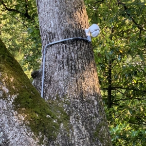 Photo of Security Camera Installation