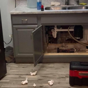 Photo of Flo Right Plumbing Repair