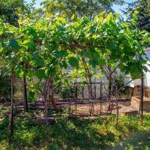 Photo of SymbiOp Landscaping