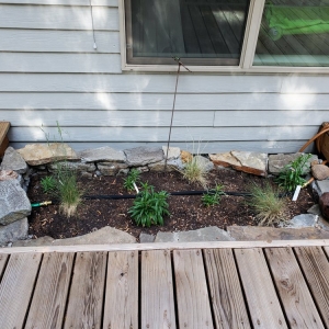 Photo of SymbiOp Landscaping