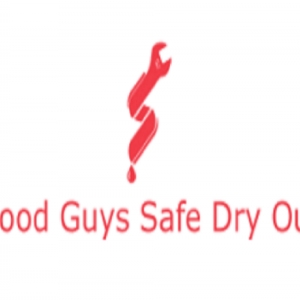 Photo of Good Guys Safe Dry Out