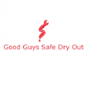Photo of Good Guys Safe Dry Out