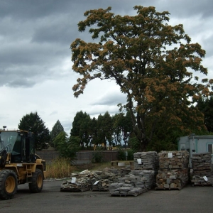 Photo of Stone Depot