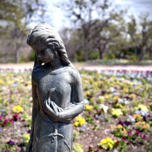 Photo of Fort Worth Botanic Garden