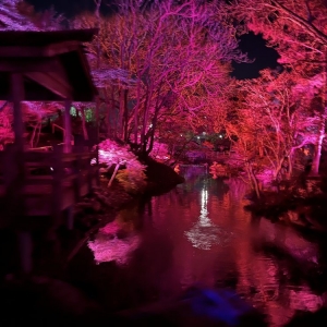 Photo of Fort Worth Botanic Garden