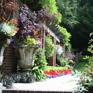 Photo of Zook & Oleson Gardening