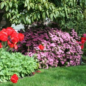 Photo of Zook & Oleson Gardening